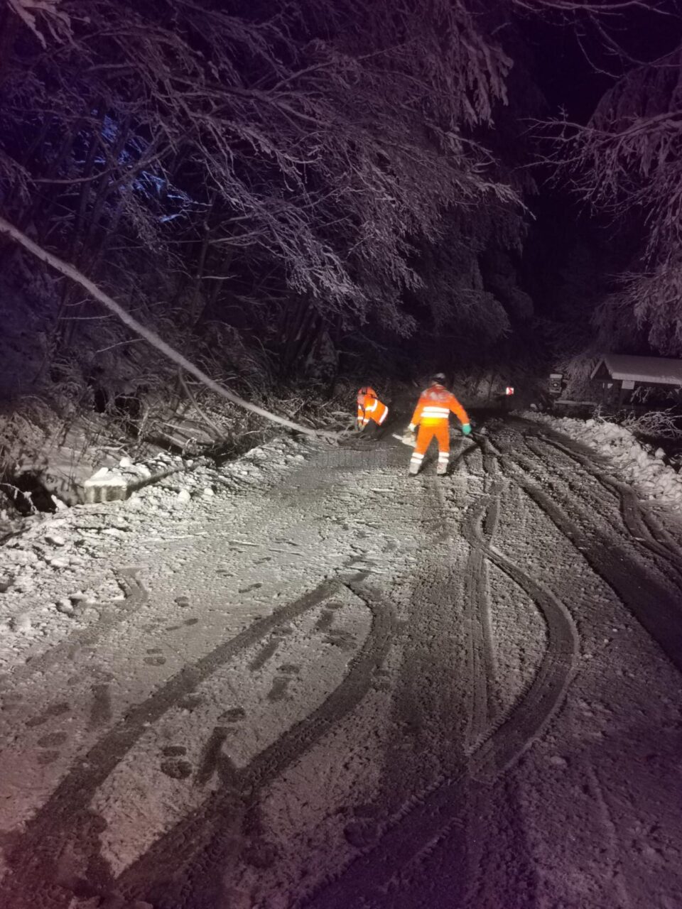 Copaci căzuți pe mai multe drumuri naționale din cauza greutății zăpezii. Circulația rutieră se desfășoară fără blocaje, în condiții de iarnă