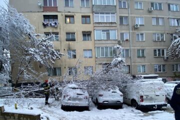 Arbori rupți, crengi căzute și mașini avariate, din cauza greutății zăpezii