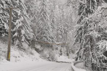 Traficul pe DN 17B în zona Călinești - Chiril a fost blocat timp de o oră după ce un copac a căzut peste o linie electrică
