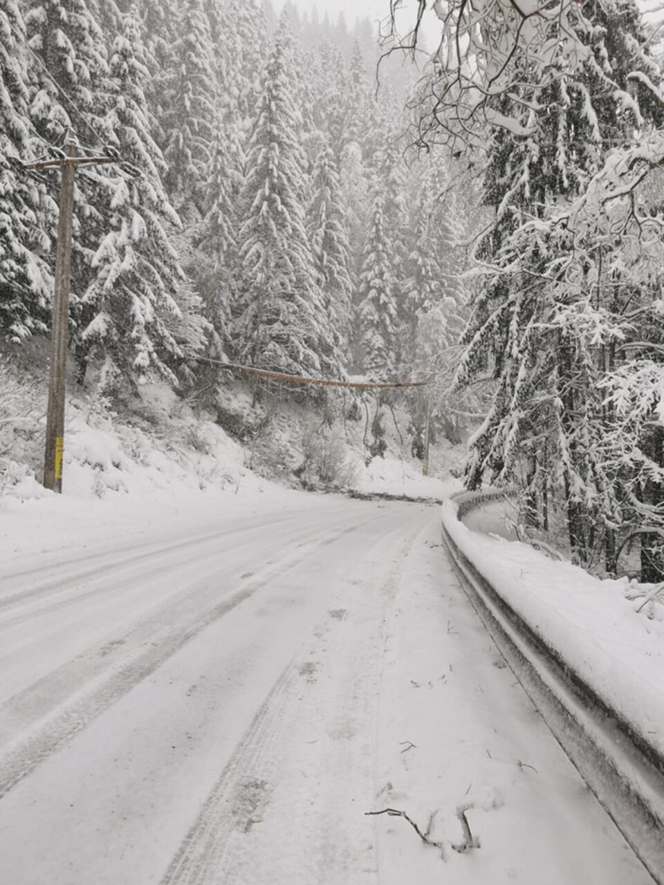 Traficul pe DN 17B în zona Călinești - Chiril a fost blocat timp de o oră după ce un copac a căzut peste o linie electrică Traficul pe DN 17B în zona Călinești - Chiril a fost blocat timp de o oră după ce un copac a căzut peste o linie electrică