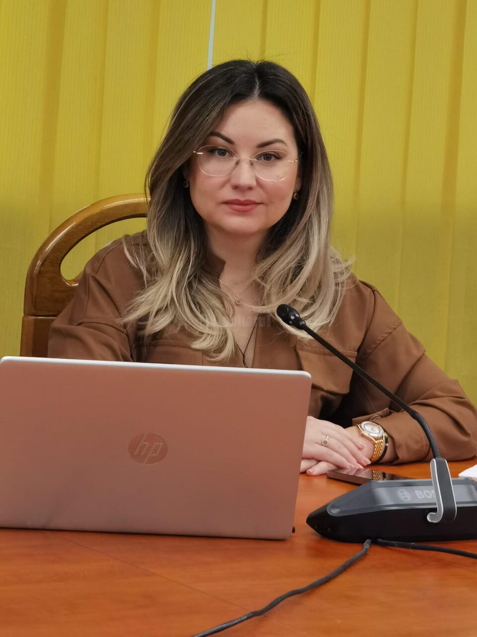 Anca-Mihaela Gâtlan, noul reprezentant al Consiliului Local Suceava în Consiliul de Administrație al Teatrului „Matei Vișniec” 1
