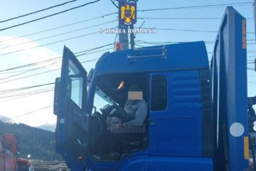 Mașini și utilaje folosite de rețeaua de trafic de material lemnos