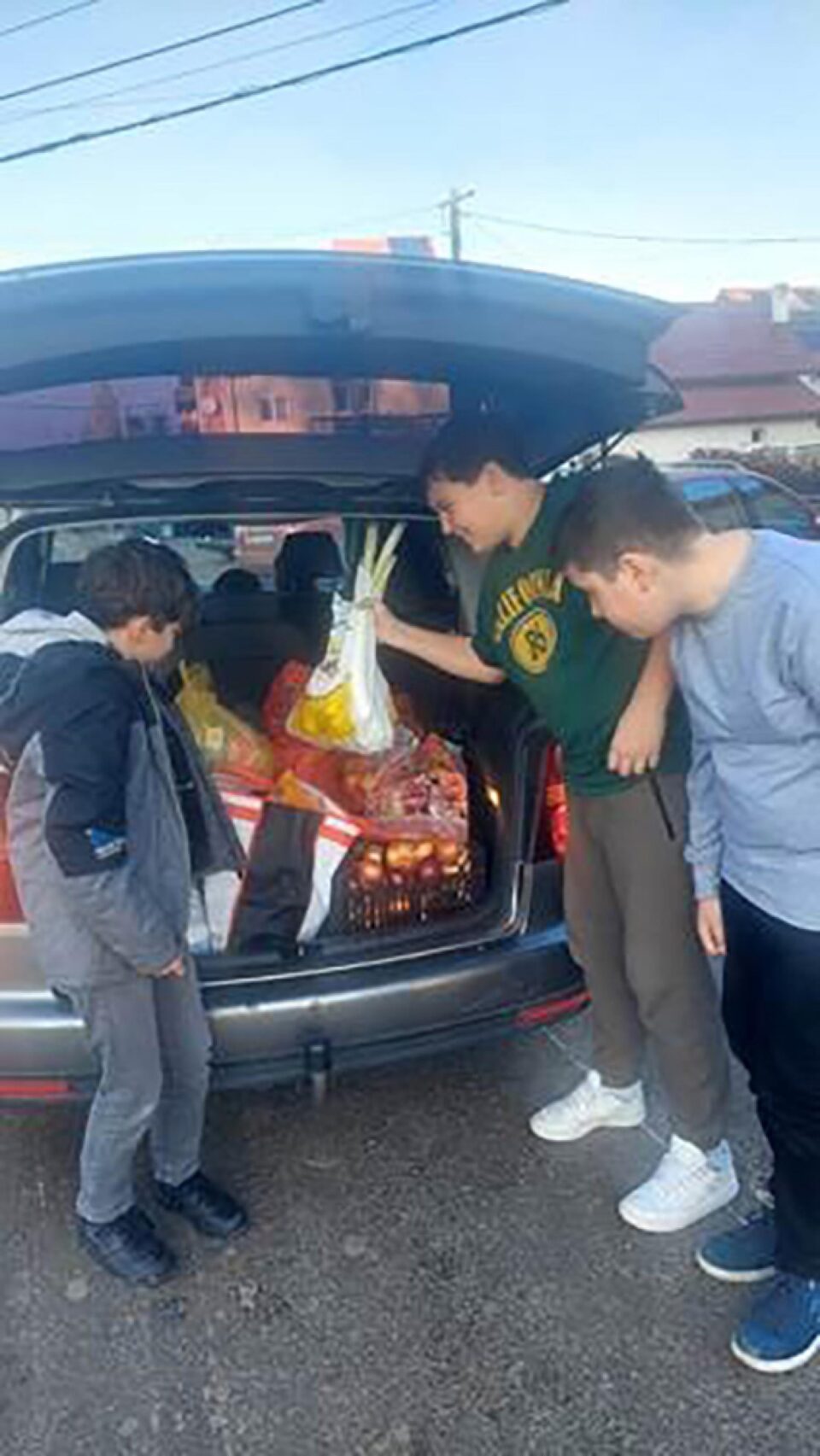 „Săptămâna fructelor și a legumelor donate”, la Liceul „Iorgu Vârnav Liteanu” Liteni