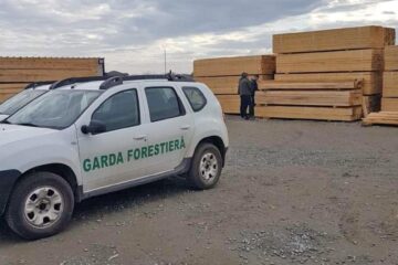 Garda Forestieră Suceava, în control, pe teren