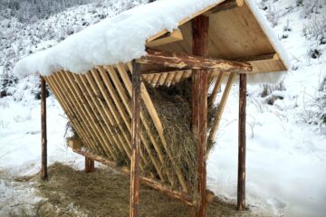 Hrănitoare pentru animalele pădurii, amenajate de silvicultorii suceveni