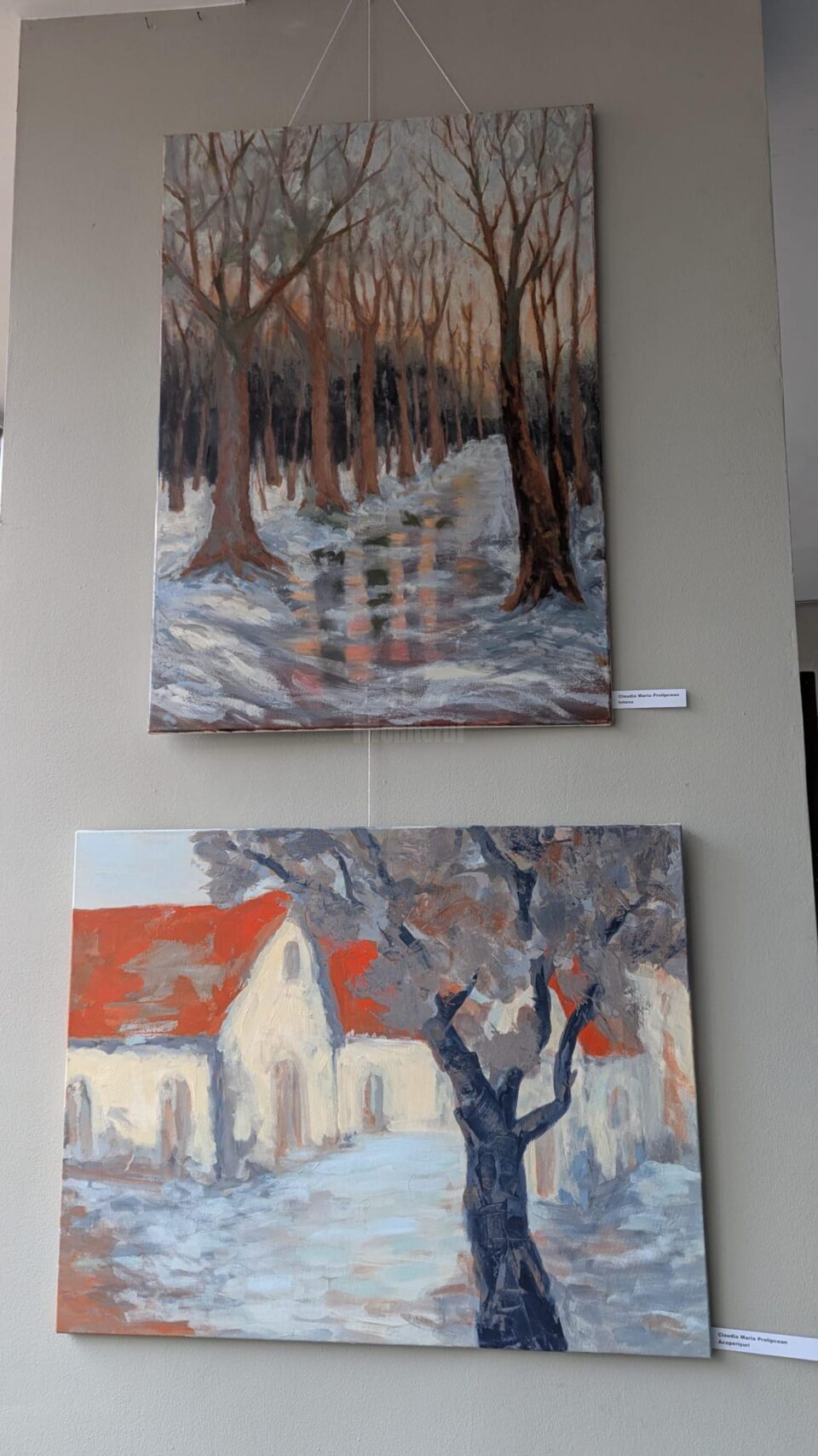 35 de artiști plastici au expus luni, 16 decembrie 2024, la Galeria de Artă „Ion Irimescu”