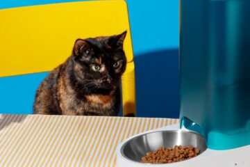 Povestea pisicii care a comandat 10 kilograme de hrană pentru animale de companie de la Vero Anima