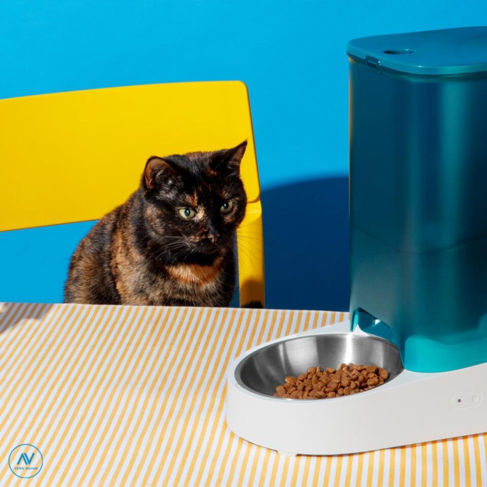 Povestea pisicii care a comandat 10 kilograme de hrană pentru animale de companie de la Vero Anima Povestea pisicii care a comandat 10 kilograme de hrană pentru animale de companie de la Vero Anima