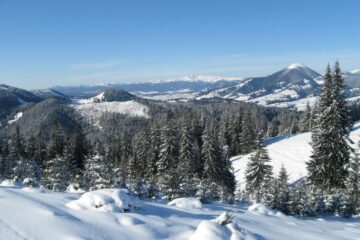 Meteorologii au prelungit codul galben de vânt puternic pentru zona de munte a județului până miercuri dimineață