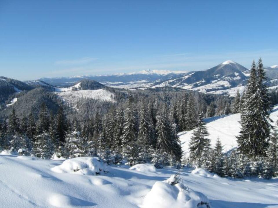 Meteorologii au prelungit codul galben de vânt puternic pentru zona de munte a județului până miercuri dimineață Meteorologii au prelungit codul galben de vânt puternic pentru zona de munte a județului până miercuri dimineață