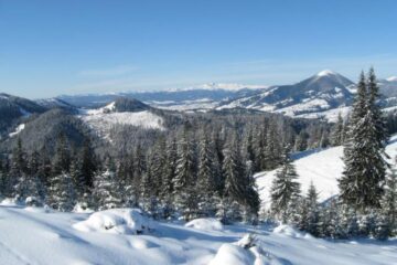 Meteorologii au prelungit codul galben de vânt puternic pentru zona de munte a județului până miercuri dimineață