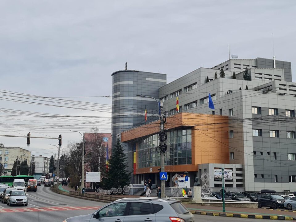 Mâzga de pe străzi, în atenția Primăriei Suceava, care vrea să ia măsuri în regim de urgență