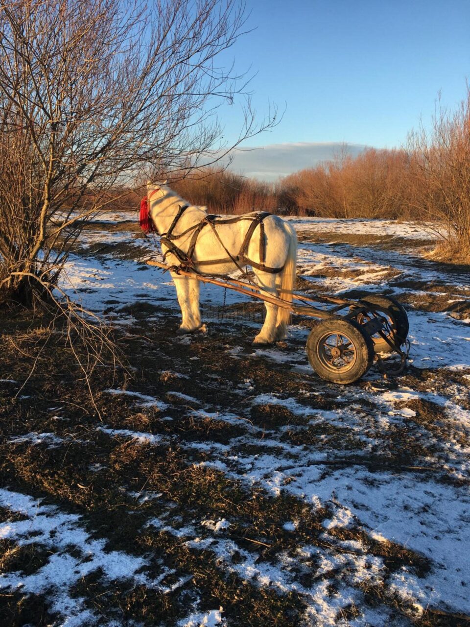 Un bărbat de 50 de ani s-a înecat în râul Moldova, la Cornu Luncii