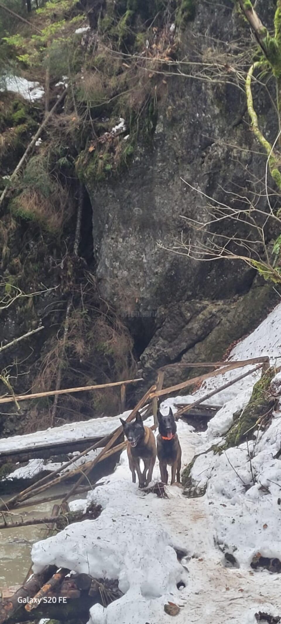 Traseele turistice din masivul Rarău prezintă o serie de pericole pentru turiști. Atenționarea a fost transmisă de Serviciul Salvamont Suceava