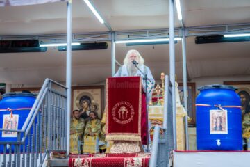 „Hristos – Lumina vieții noastre” – Predica Înaltpreasfințitului Părinte Calinic la Duminica după Botezul Domnului