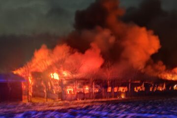 Incendiul devastator în care au ars peste 5.000 de porci