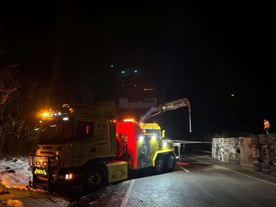 O mașină care transporta vaci și cai s-a răsturnat pe E 85