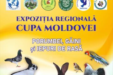 Expoziție cu vânzare de porumbei, găini și iepuri de rasă