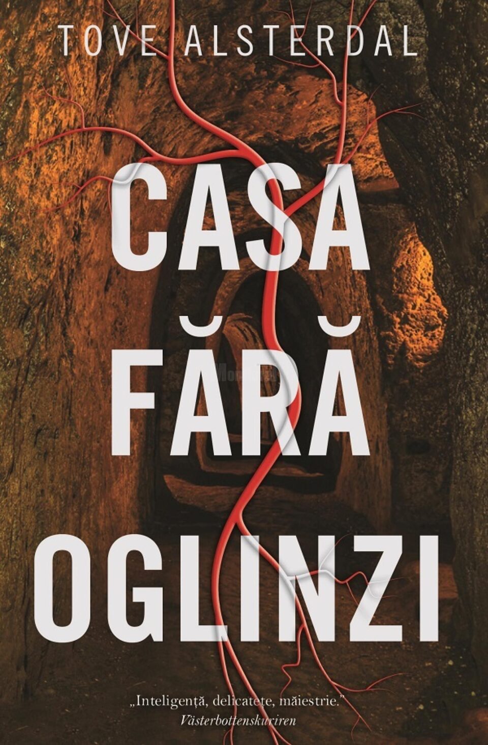 „Casa fără oglinzi”