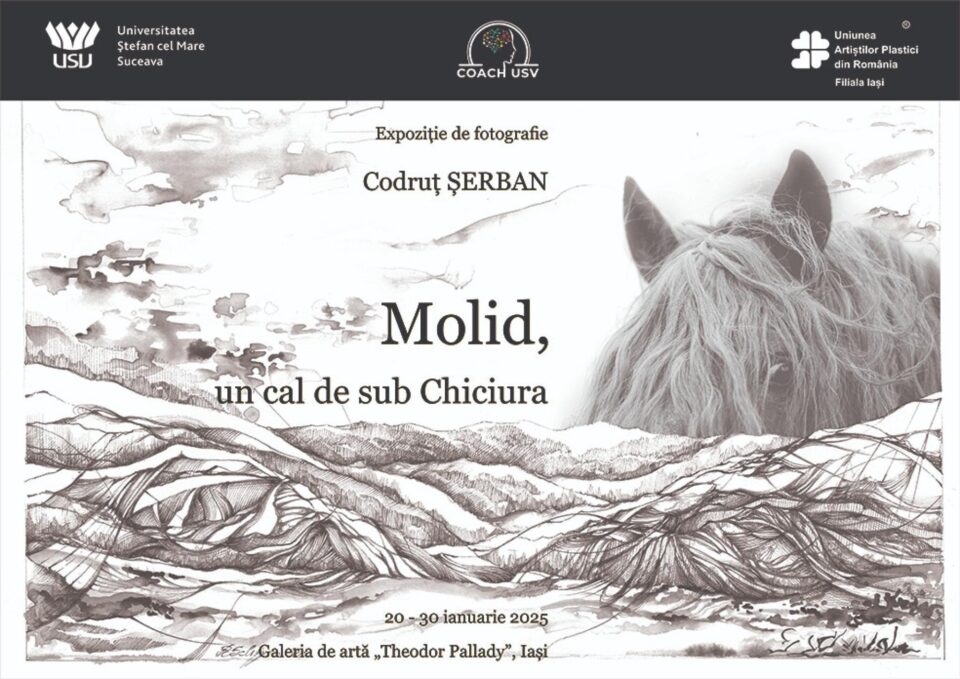 Afisul expozitiei semnata Codrut Serban