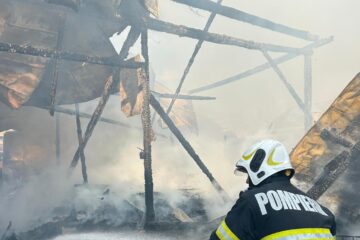 O anexă în care se aflau 7 porci, dar și o bucătărie de vară și acoperișul unei case, distruse într-un incendiu