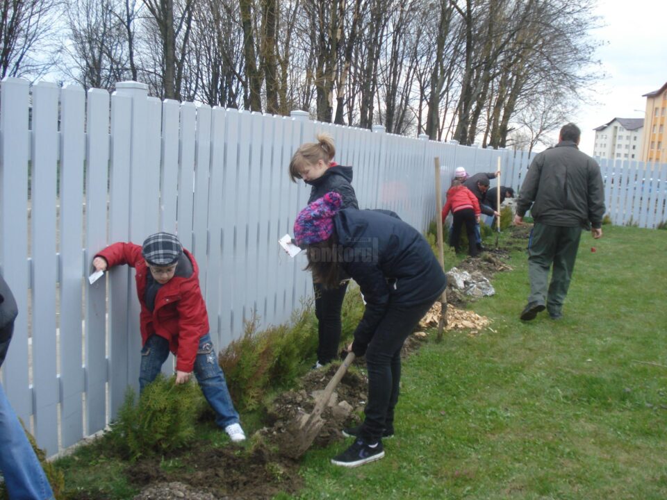 Actțuni de plantare de arbori și arbuști vor avea loc în primăvară