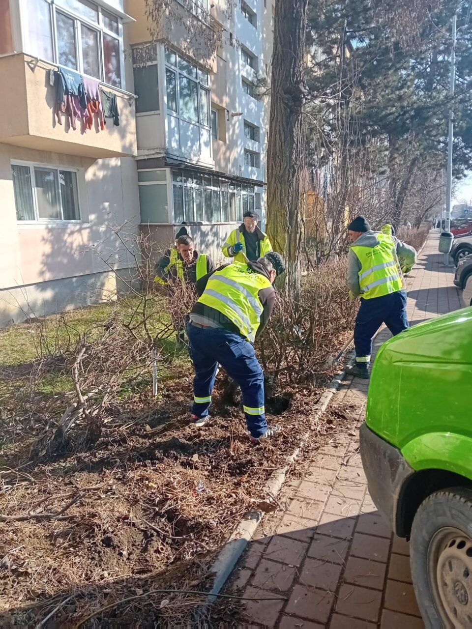 Lucrări de ecologizare și regenerare a spațiilor verzi din municipiul Suceava