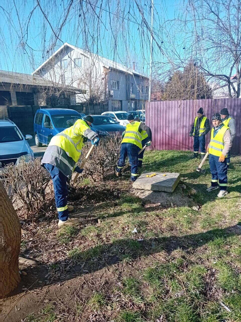 Lucrări de ecologizare și regenerare a spațiilor verzi din municipiul Suceava
