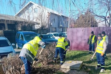Lucrări de ecologizare și regenerare a spațiilor verzi din municipiul Suceava