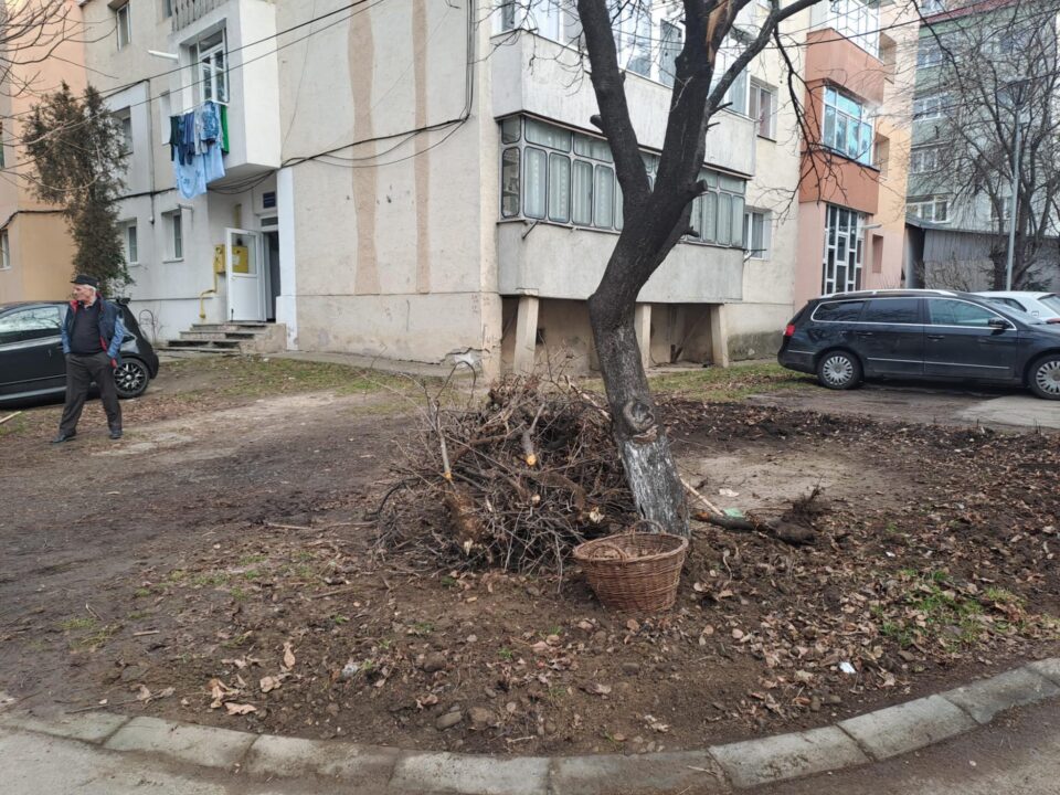 Mobilizare puternică pentru ecologizarea spațiilor verzi din cartierele Sucevei