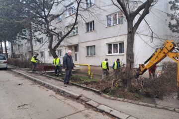 Mobilizare puternică pentru ecologizarea spațiilor verzi din cartierele Sucevei