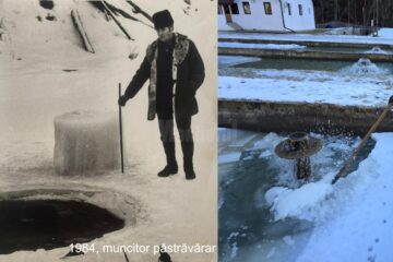 Păstravaria Valea Brodinei, una dintre cele mai vechi păstrăvării din România, cu aproape jumătate de secol în urmă și în prezent