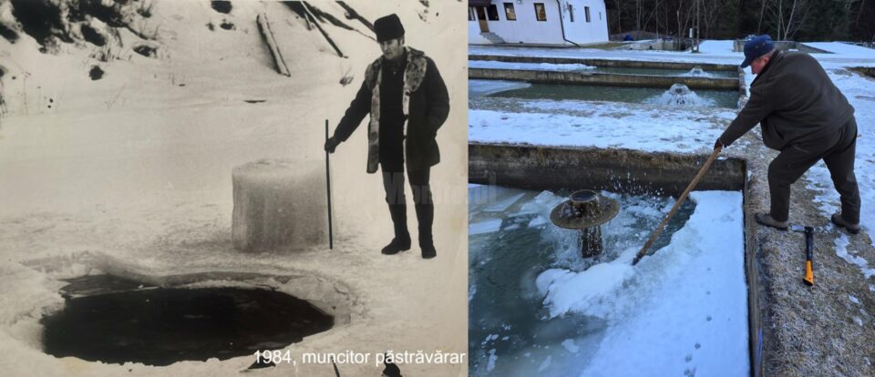 Păstrăvăria Valea Brodinei, una dintre cele mai vechi păstrăvării din România, cu aproape jumătate de secol în urmă și în prezent Păstrăvăria Valea Brodinei, una dintre cele mai vechi păstrăvării din România, cu aproape jumătate de secol în urmă și în prezent