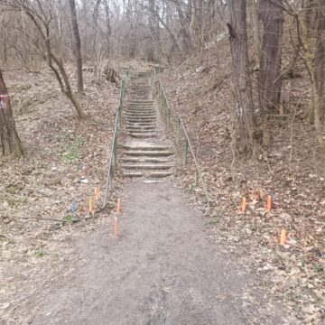 În Parcul Șipote au apărut țăruși portocalii în număr mare, dar și diferite săgeți și numere