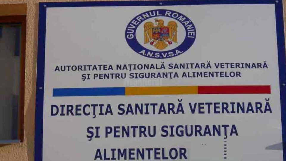 Medicii veterinari pensionați cu grupa a doua de muncă părăsesc Direcția Sanitar-Veterinară Medicii veterinari pensionați cu grupa a doua de muncă părăsesc Direcția Sanitar-Veterinară