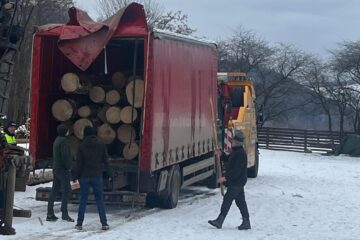 Polițiștii au oprit o mașină cu lemne pentru verificări și au dat, la volan, peste un tânăr beat și fără permis de conducere