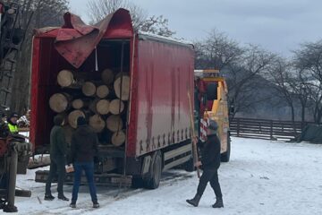 Polițiștii au oprit o mașină cu lemne pentru verificări