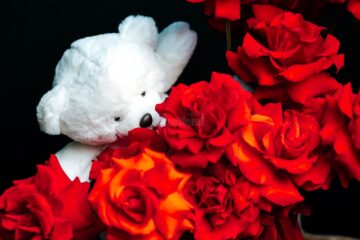 Queen Concept Flower - Florăria perfectă pentru Ziua Îndrăgostiților