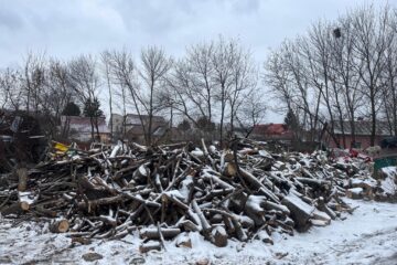Lemn de foc din tăierile de arbori și toaletările efectuate de Primăria Suceava