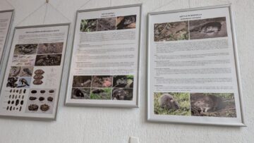 Expoziție temporară specială „Devoratorii de cașcaval”