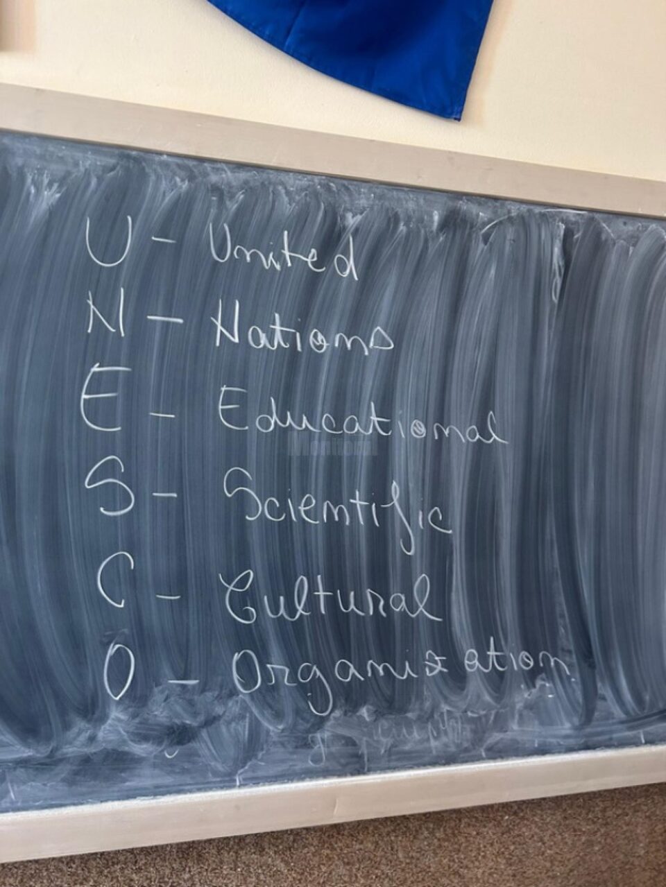 Ziua Internațională a Limbii Materne, marcată la Colegiul Național Petru Rareș Suceava