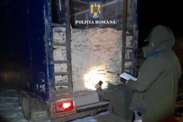 Legea privind transporturile de lemn a fost înăsprită, dar afaceriștii ilegali s-au adaptat și ei imediat situației