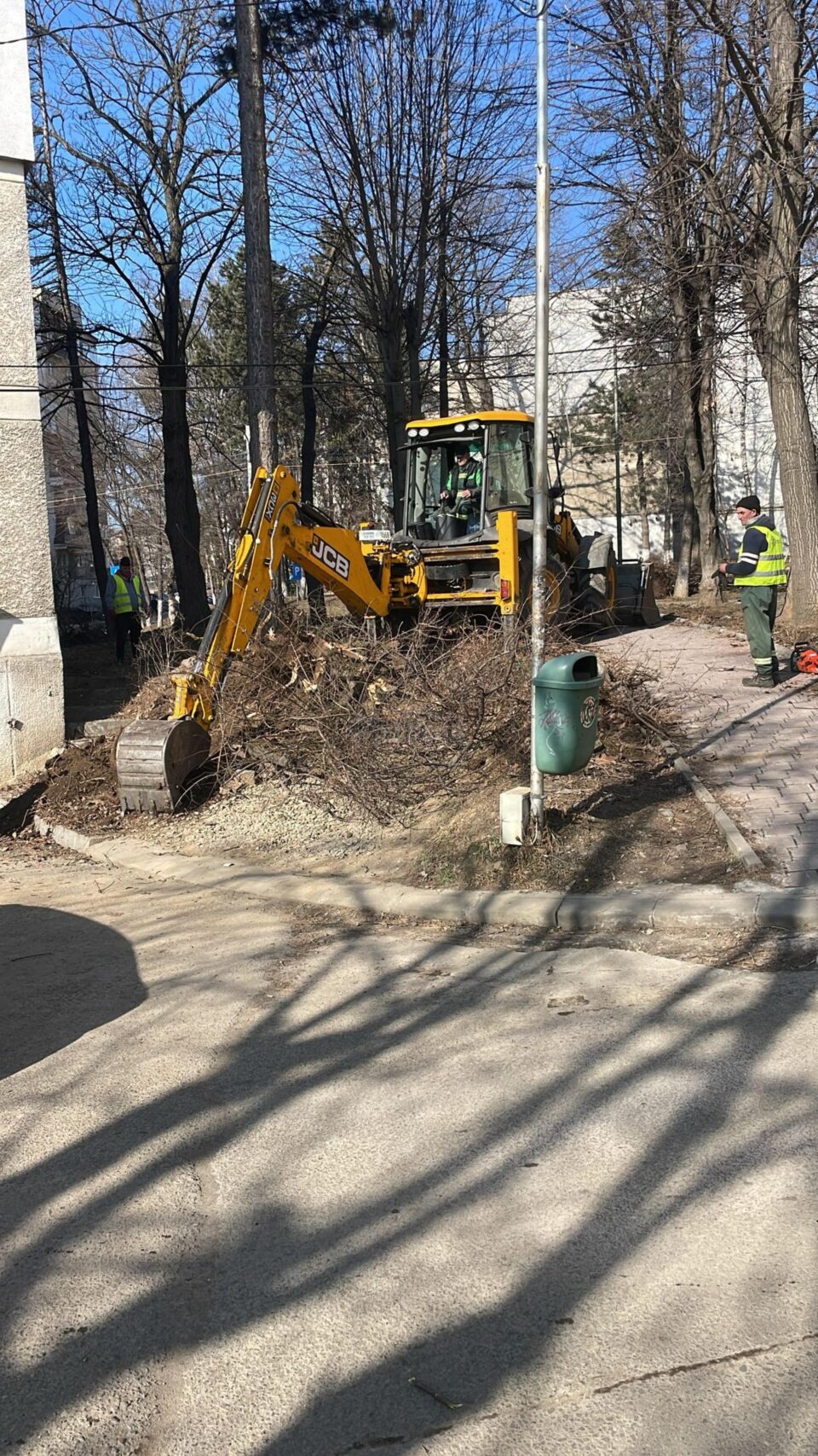 Campania de curățenie și scoatere a gardurilor vii, în zona Mărășești și Oituz 3