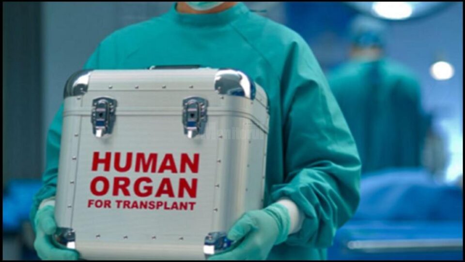 transplant de organe