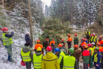 Instructaje de securitate a muncii organizate în pădure, la Ocoalele Silvice Vama, Pojorâta și Moldovița