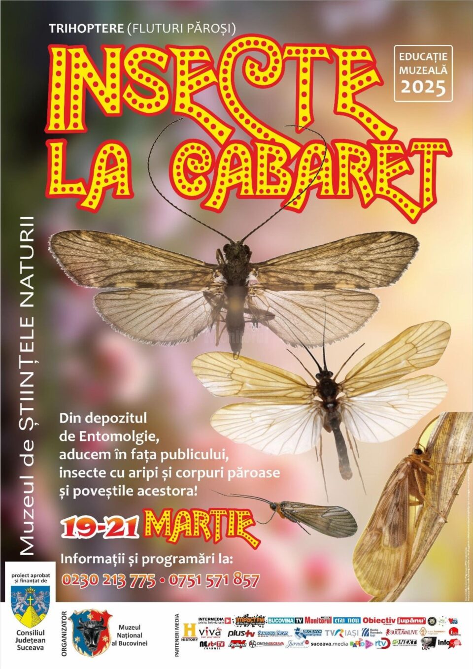 „Insecte la Cabaret”, expoziție la Muzeul de Științele Naturii Suceava