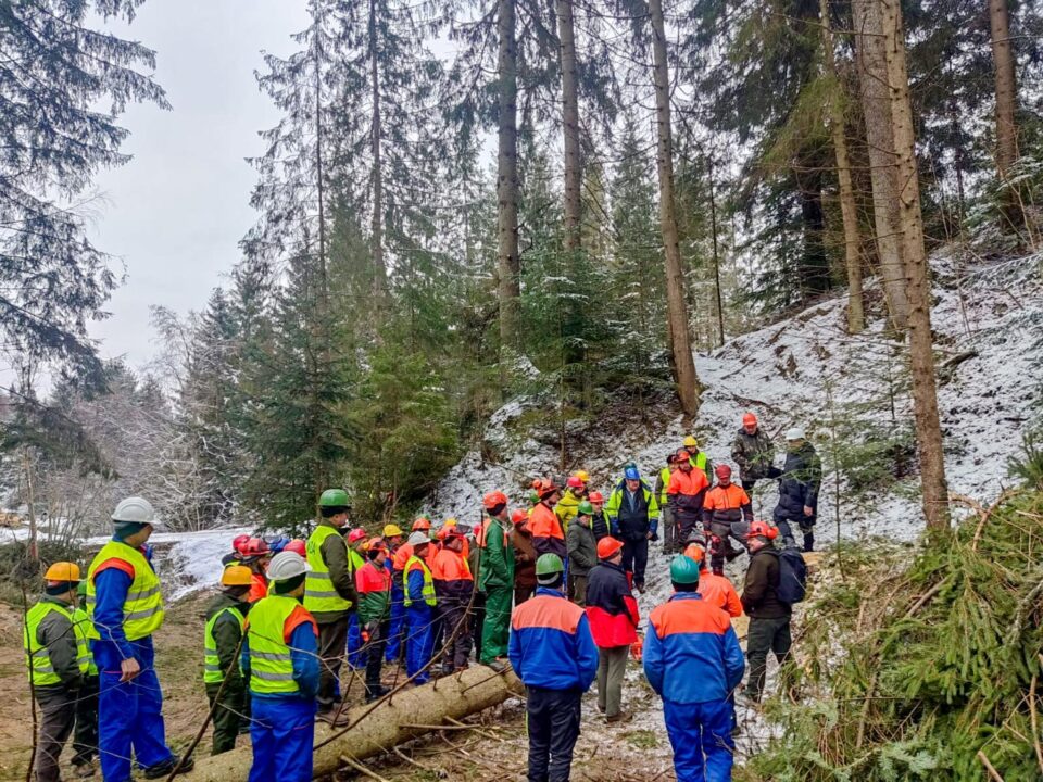 Instructaje de securitate a muncii organizate în pădure, la Ocoalele Silvice Vama, Pojorâta și Moldovița