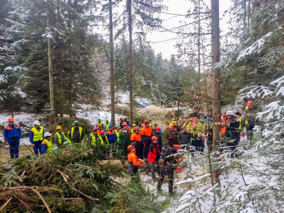 Instructaje de securitate a muncii organizate în pădure, la Ocoalele Silvice Vama, Pojorâta și Moldovița
