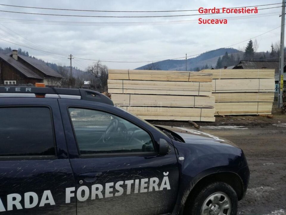 Inspectorii Gărzii Forestiere au descoperit nereguli la trei agenți economici din județul Suceava Inspectorii Gărzii Forestiere au descoperit nereguli la trei agenți economici din județul Suceava