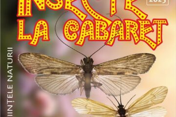 „Insecte la Cabaret”, expoziție la Muzeul de Științele Naturii Suceava
